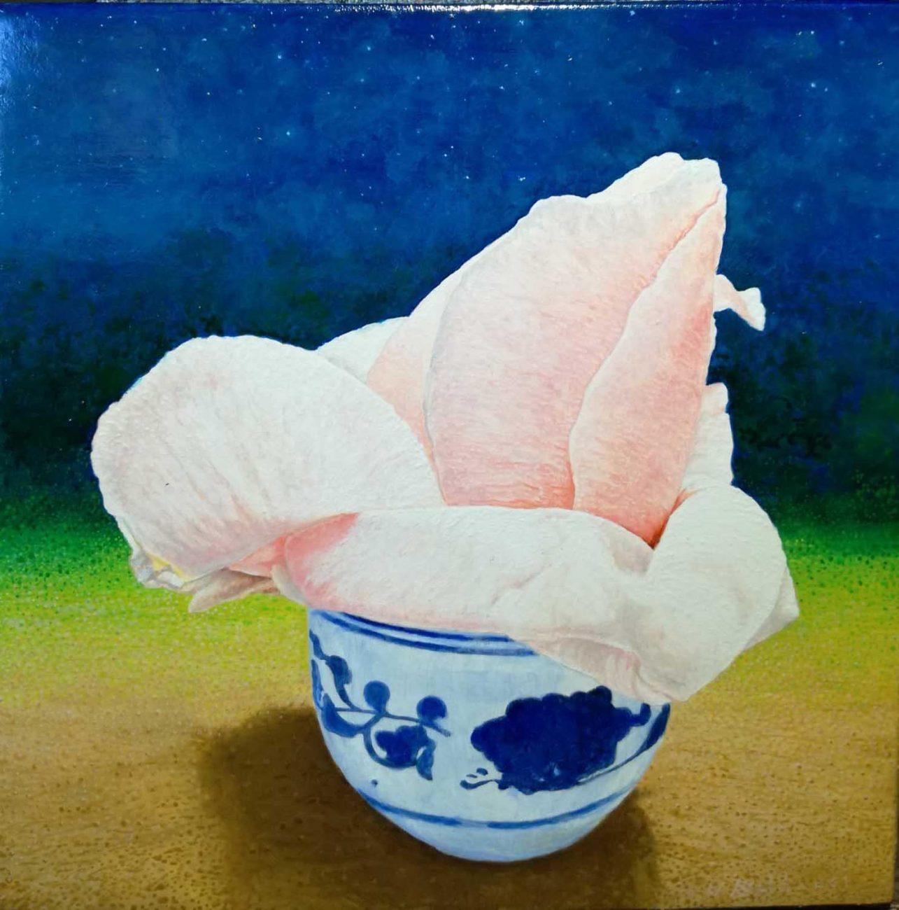 BALDA0030 La rosa bianca olio su tavola cm 15x15 - 2020